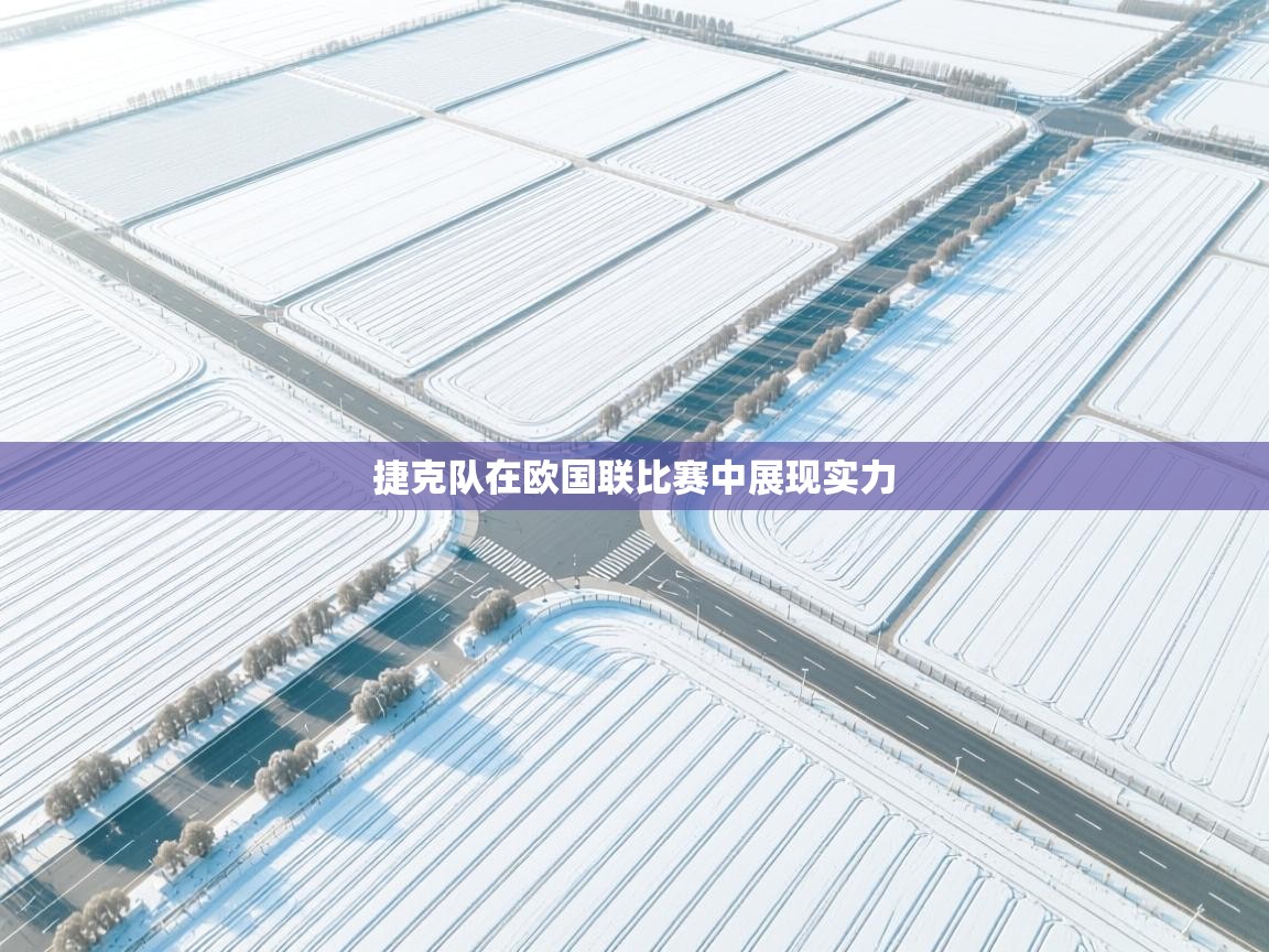 开云体育无法登录解决方案-捷克队在欧国联比赛中展现实力  第2张