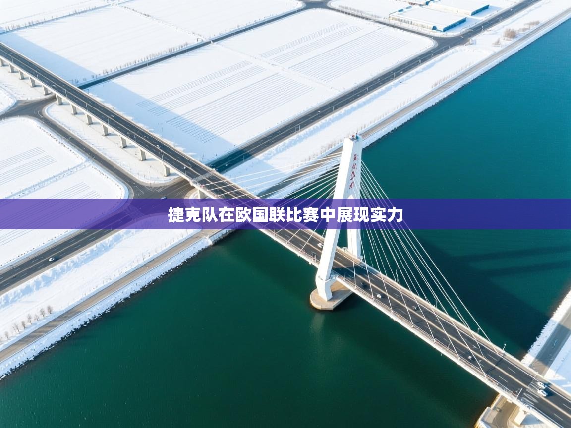 开云体育无法登录解决方案-捷克队在欧国联比赛中展现实力  第1张