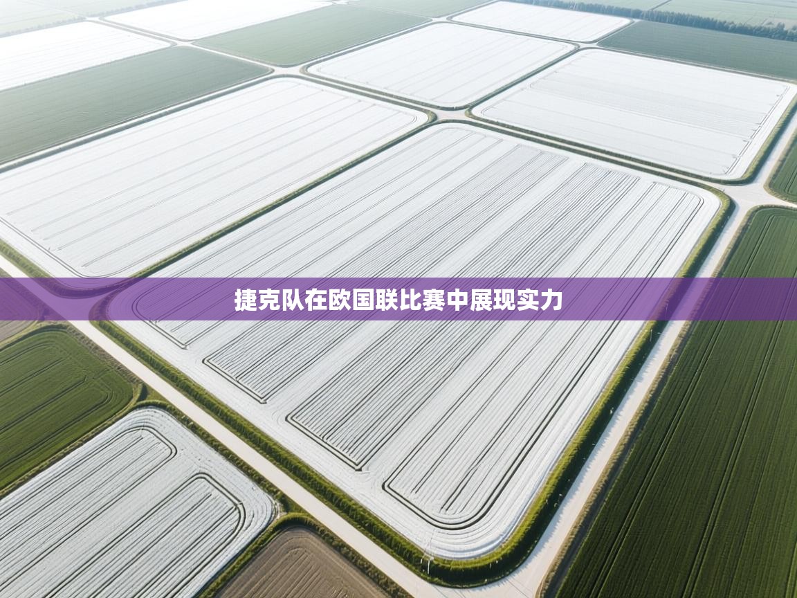 开云体育无法登录解决方案-捷克队在欧国联比赛中展现实力  第3张