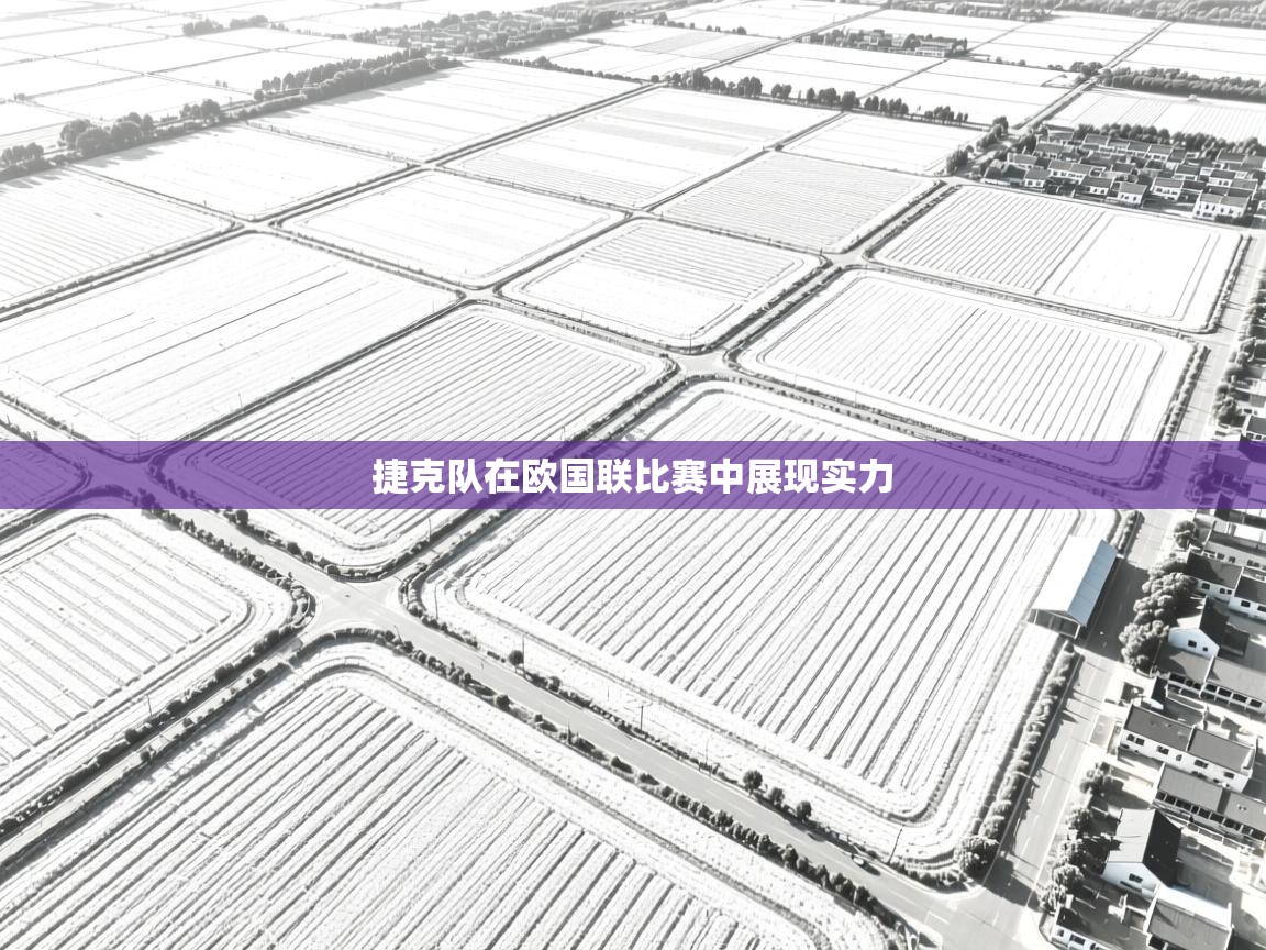 开云体育无法登录解决方案-捷克队在欧国联比赛中展现实力  第4张