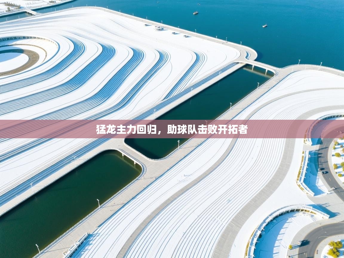 开云体育工单提交入口-猛龙主力回归,助球队击败开拓者 第2张