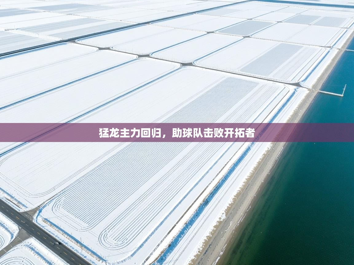 开云体育工单提交入口-猛龙主力回归,助球队击败开拓者 第3张