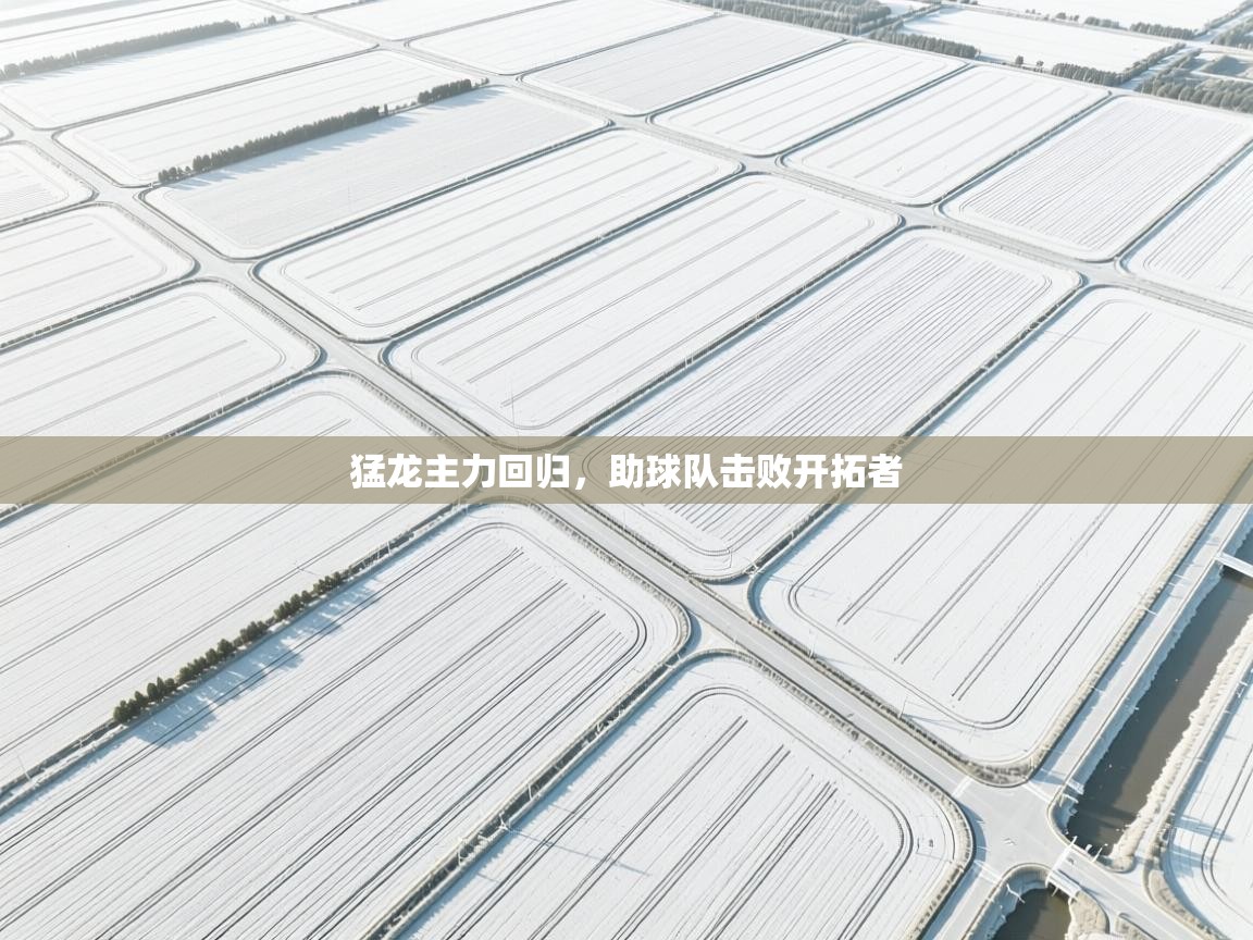 开云体育工单提交入口-猛龙主力回归,助球队击败开拓者 第4张