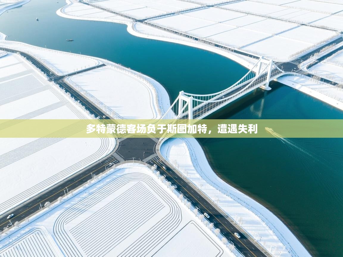 -多特蒙德客场负于斯图加特，遭遇失利  第3张