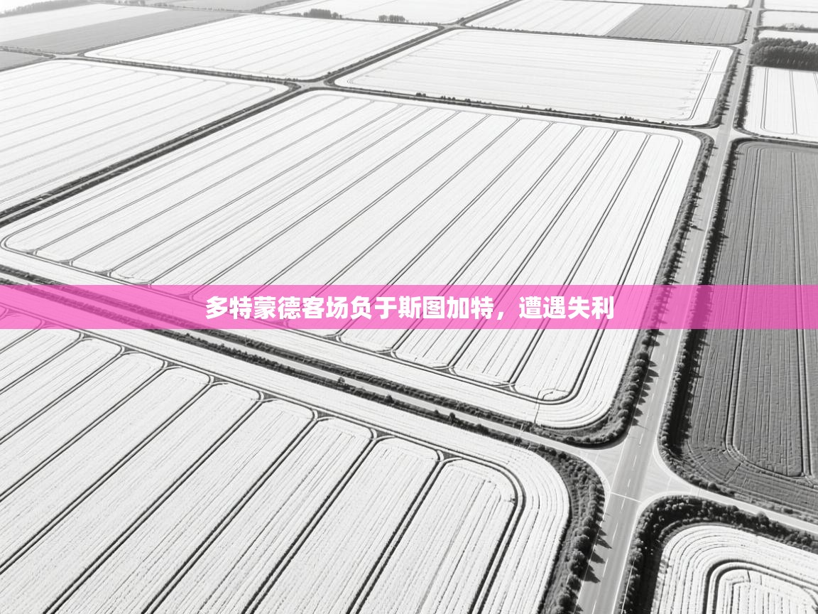 -多特蒙德客场负于斯图加特，遭遇失利  第4张