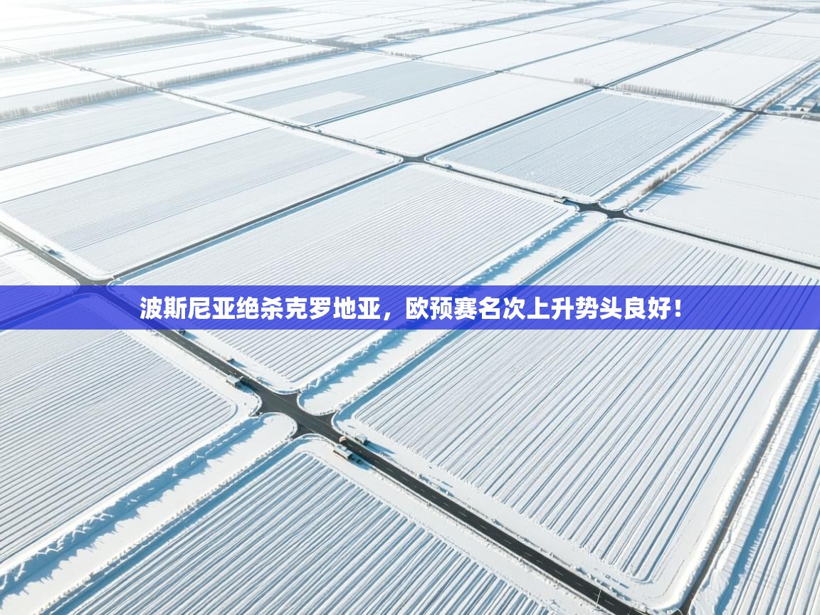 开云体育app官网下载地址-波斯尼亚绝杀克罗地亚，欧预赛名次上升势头良好！  第3张