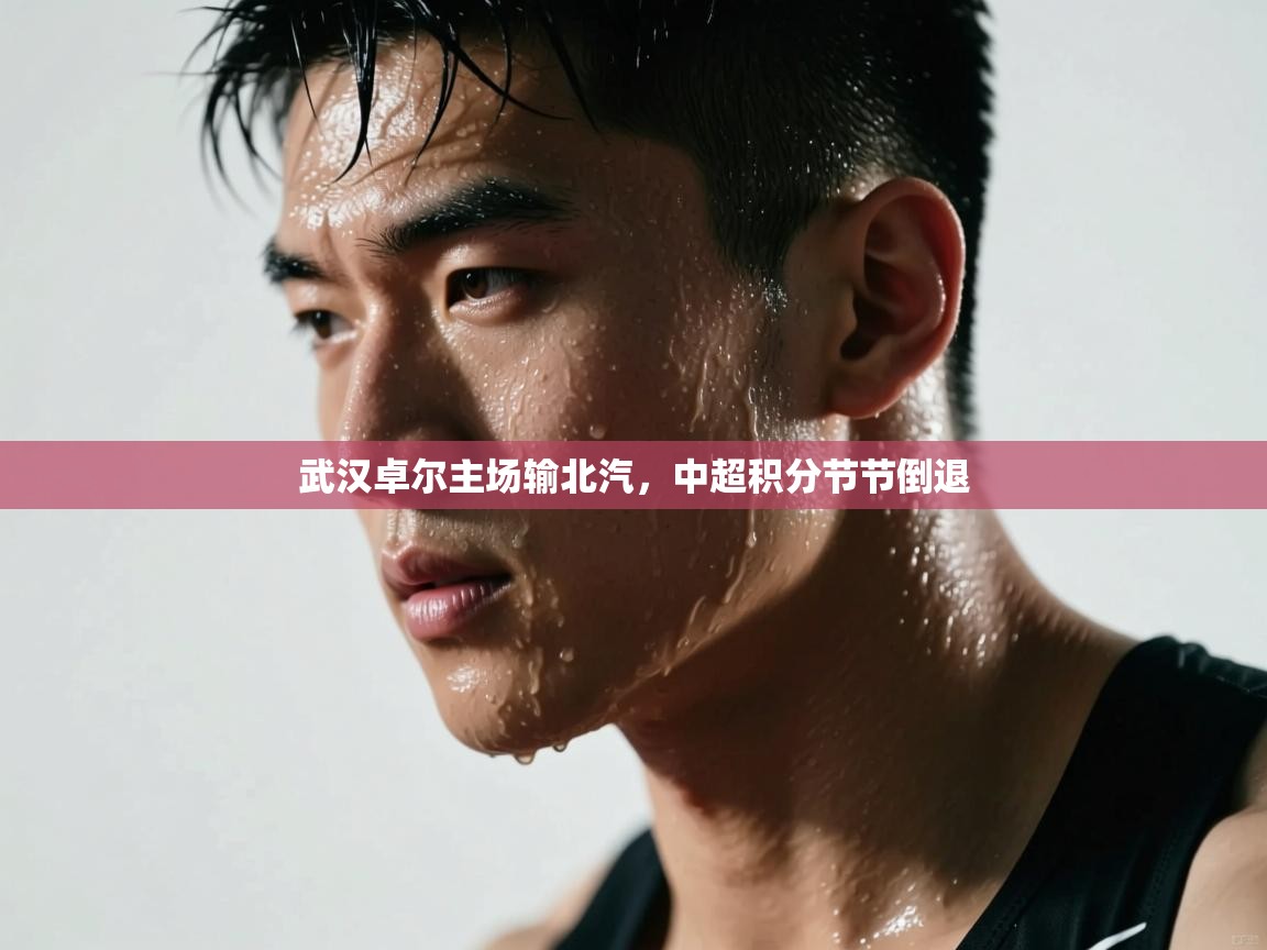 开云体育修改登录密码-武汉卓尔主场输北汽,中超积分节节倒退 第1张