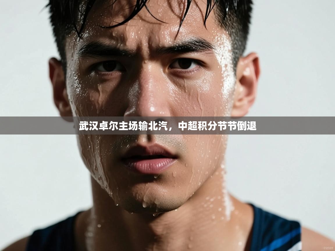 开云体育修改登录密码-武汉卓尔主场输北汽,中超积分节节倒退 第2张