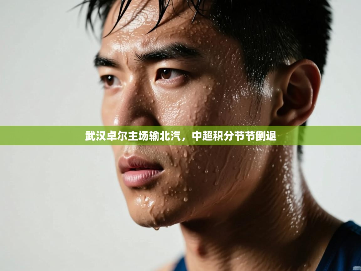 开云体育修改登录密码-武汉卓尔主场输北汽,中超积分节节倒退 第4张