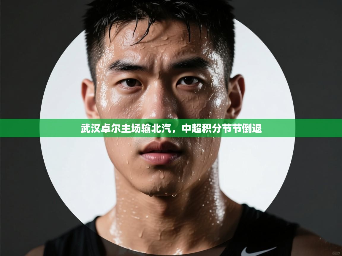 开云体育修改登录密码-武汉卓尔主场输北汽,中超积分节节倒退 第3张