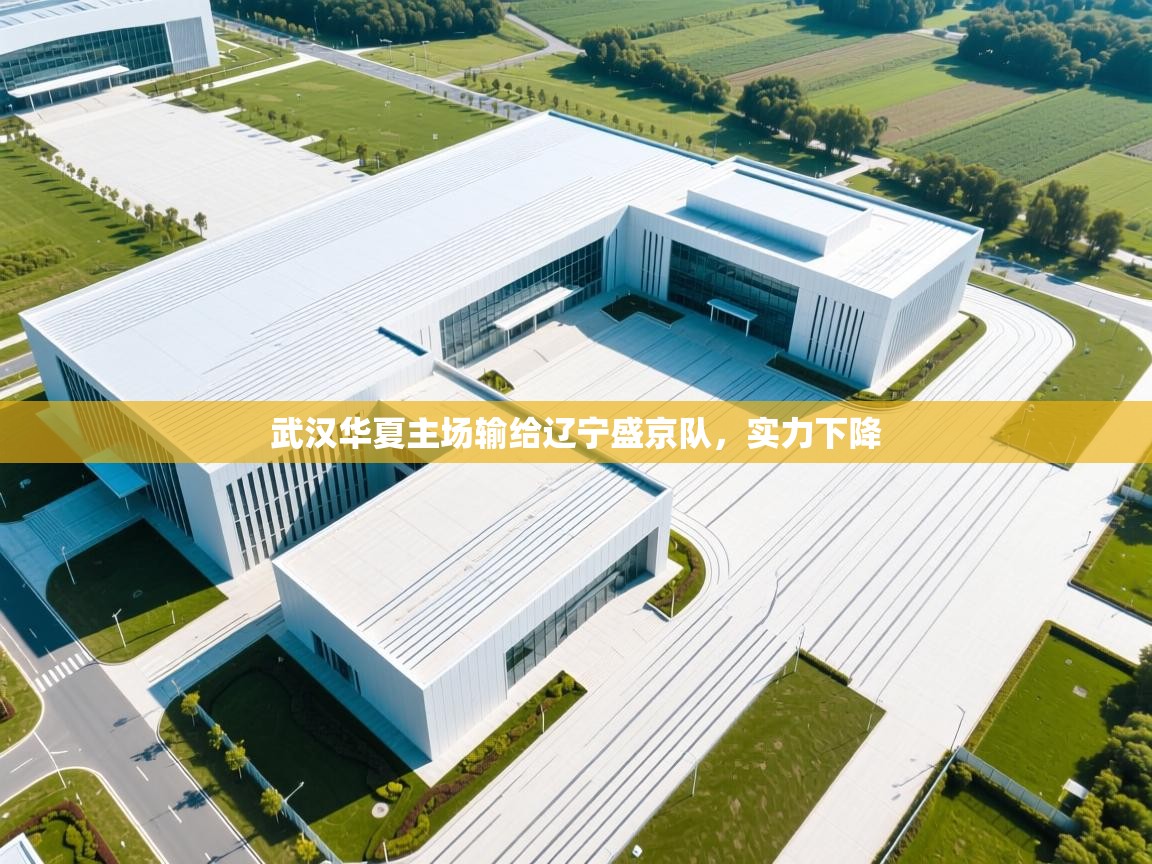 开云体育数据中心统计-武汉华夏主场输给辽宁盛京队，实力下降  第1张