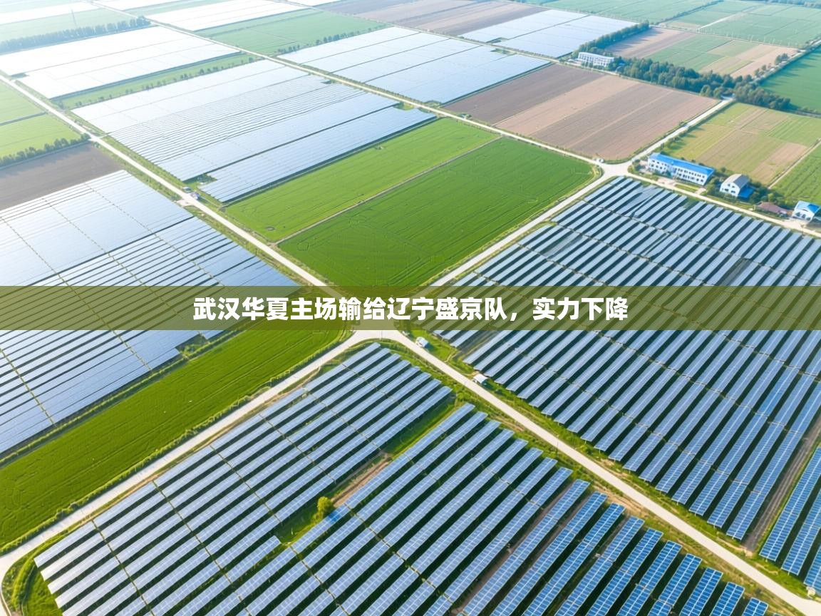 开云体育数据中心统计-武汉华夏主场输给辽宁盛京队，实力下降  第2张