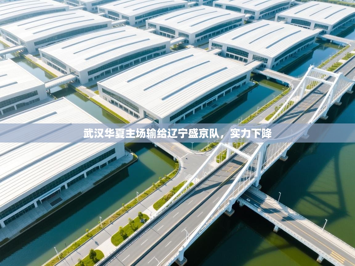 开云体育数据中心统计-武汉华夏主场输给辽宁盛京队，实力下降  第4张